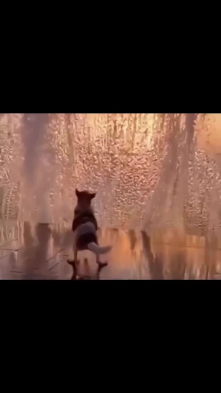 Радость на закате)