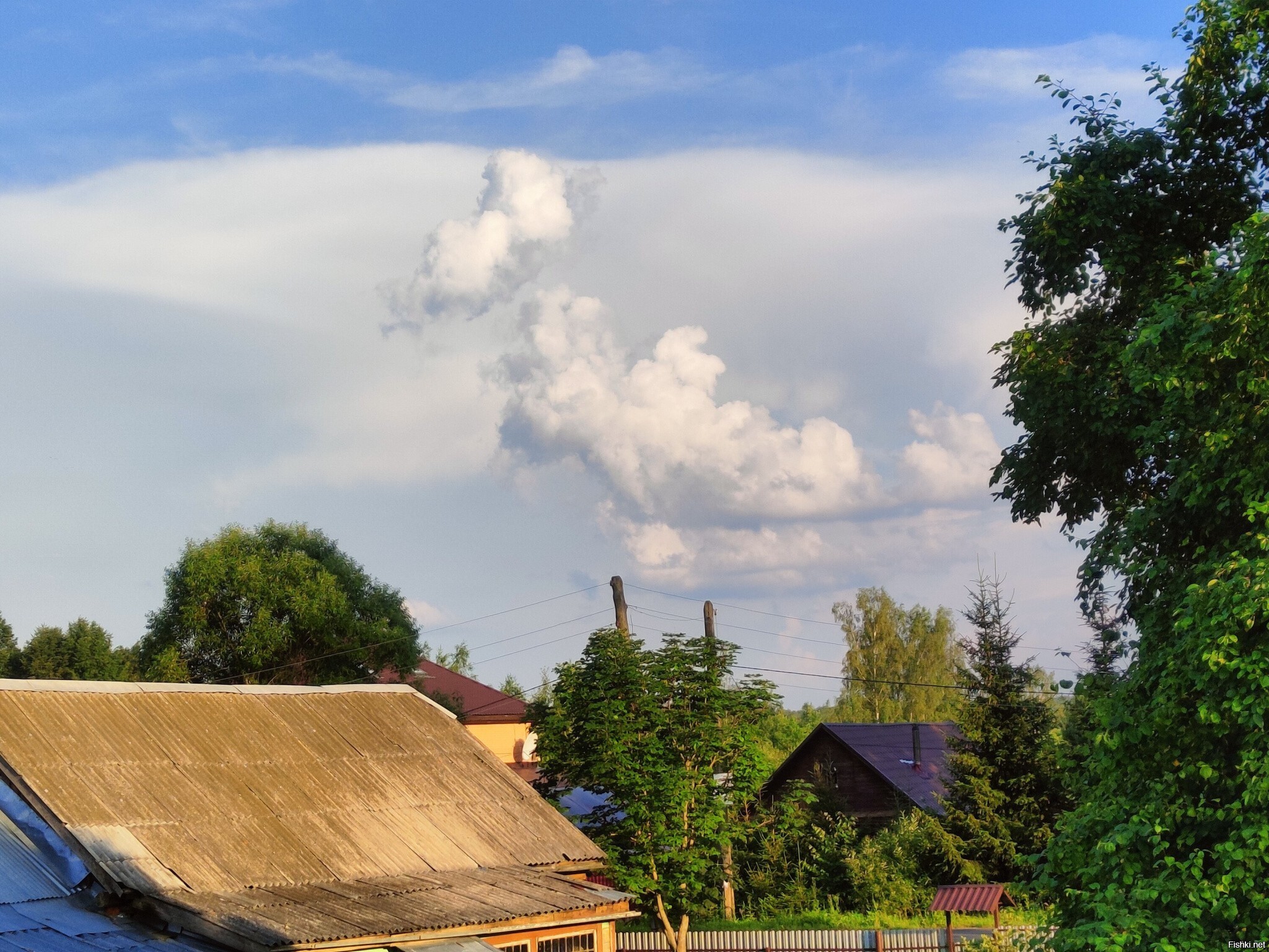 Солянка