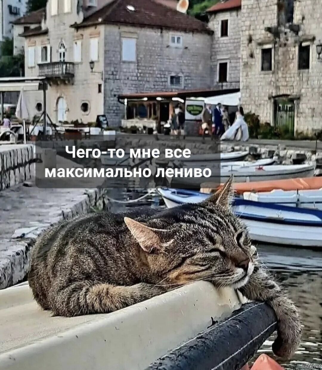 Доброе утро