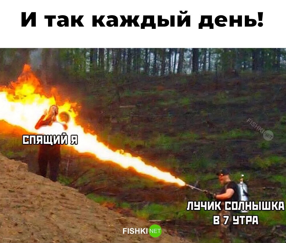 Скрины из соцсетей