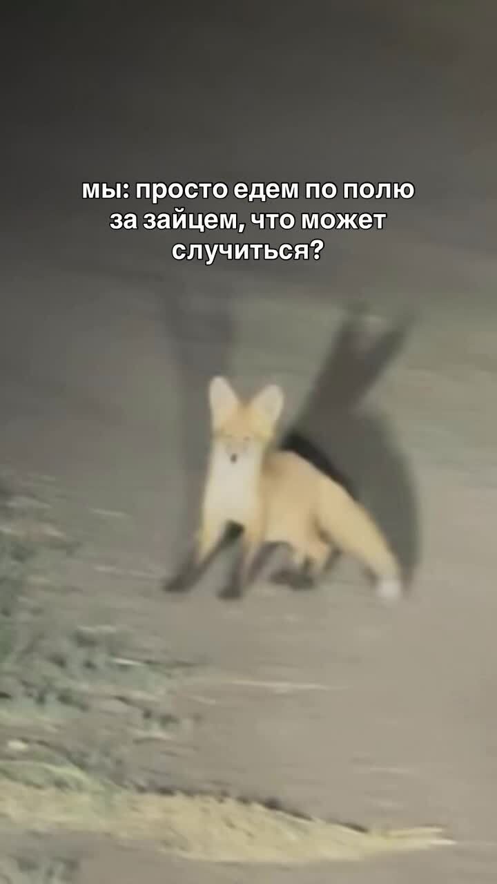 А дальше по дороге будет теремок
