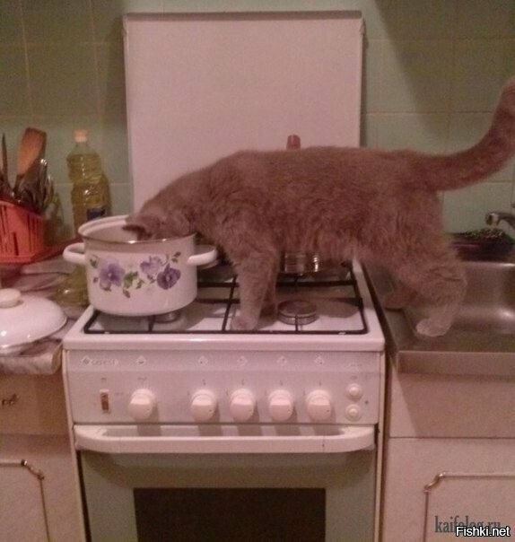 Солянка