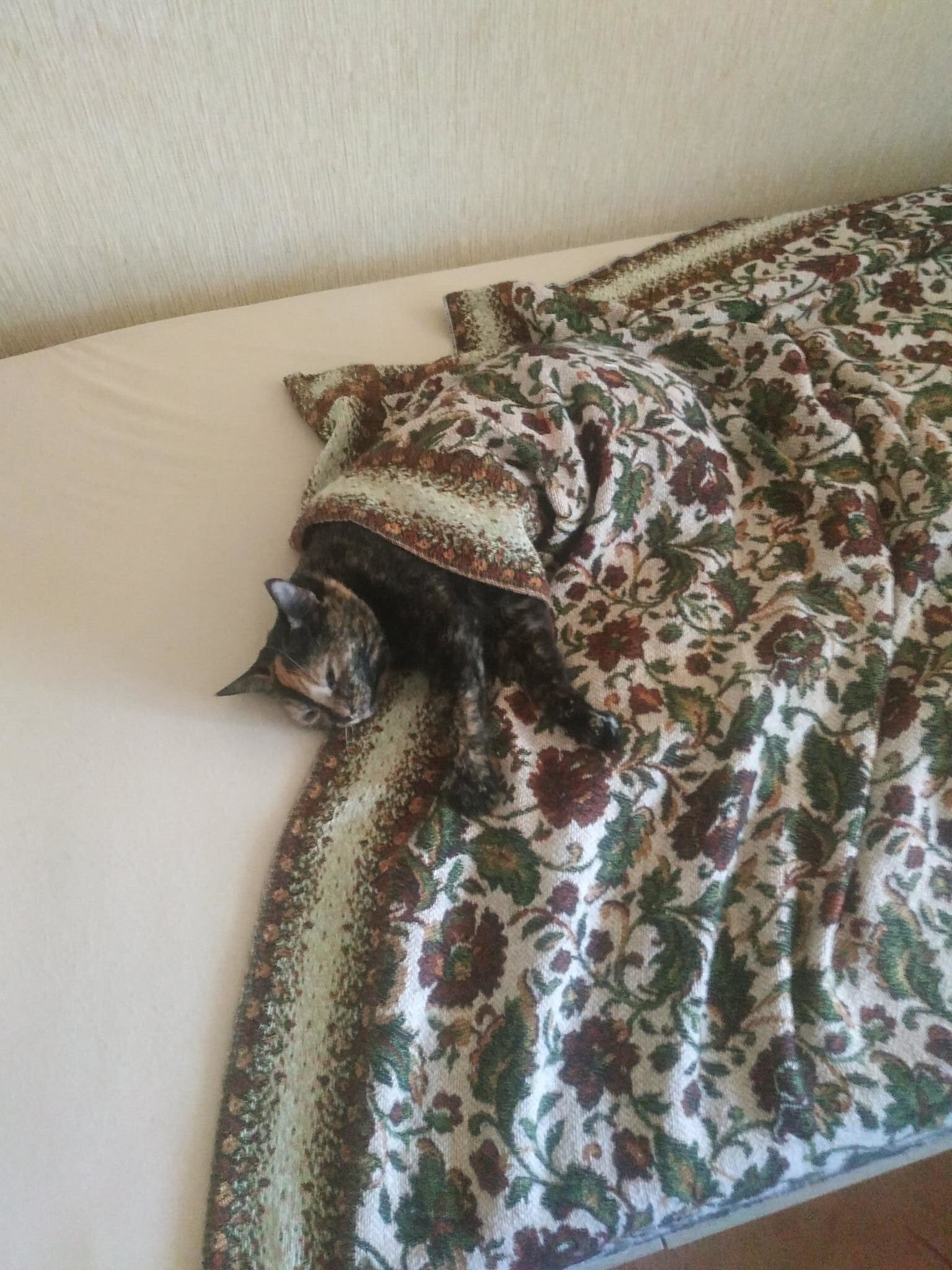 Солянка