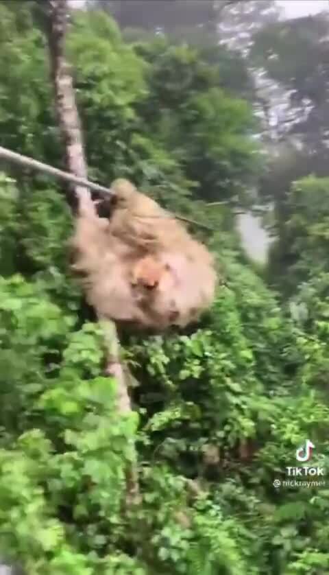 Внезапная встреча