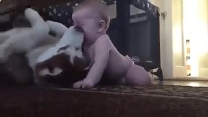 Мимиметр сломался