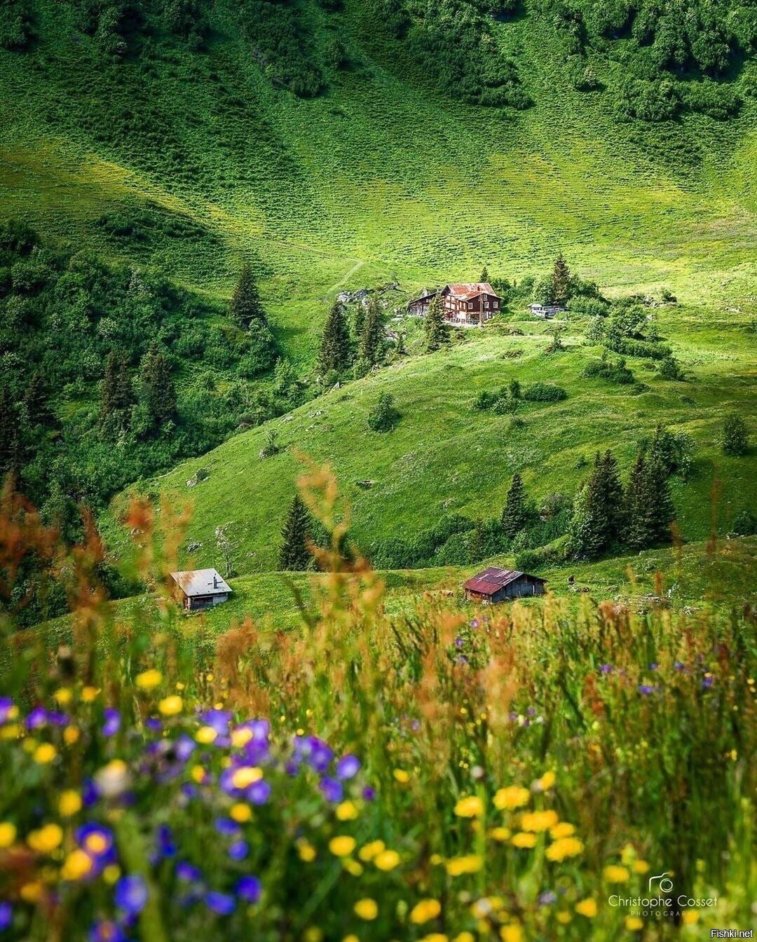 Солянка