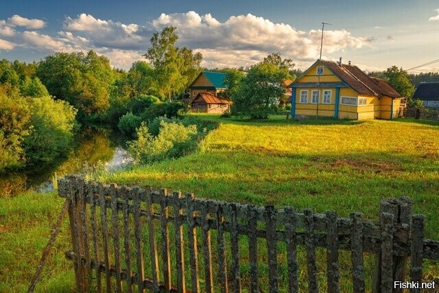 Солянка
