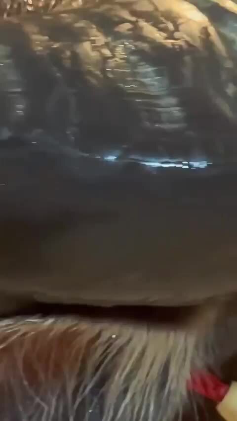Мощь