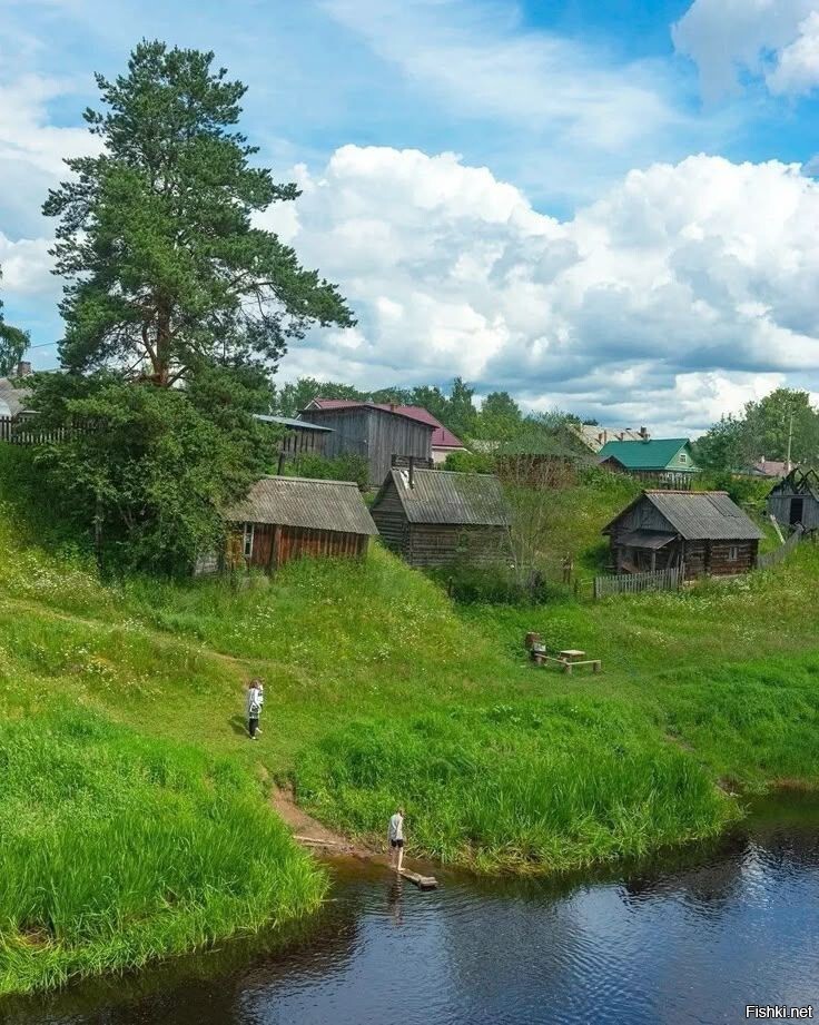 Солянка
