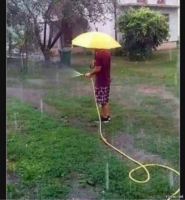А у нас дождик начался