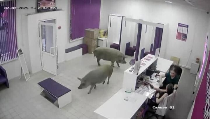 Солянка