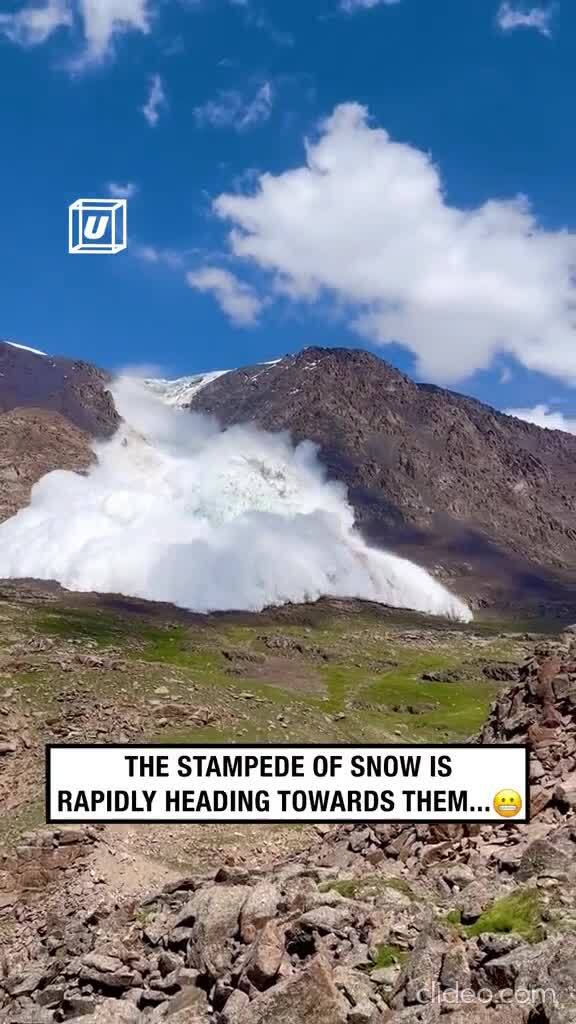 Бежать бесполезно