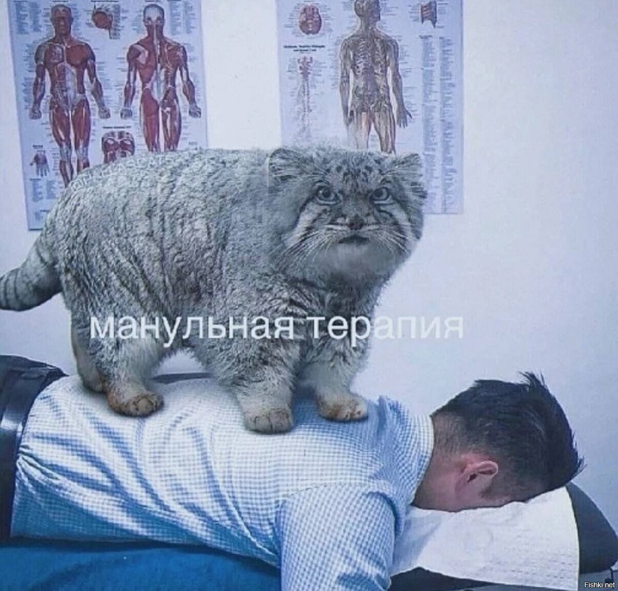 Солянка