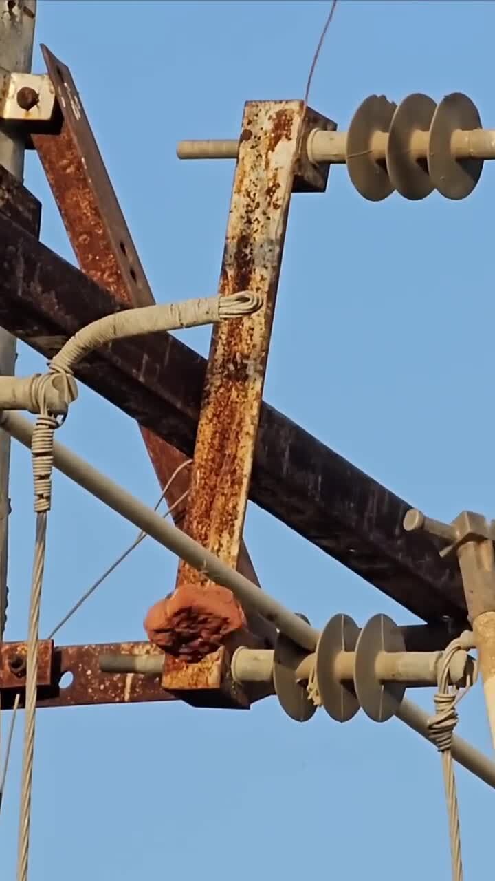 Индийский высоковольтный разъединитель
