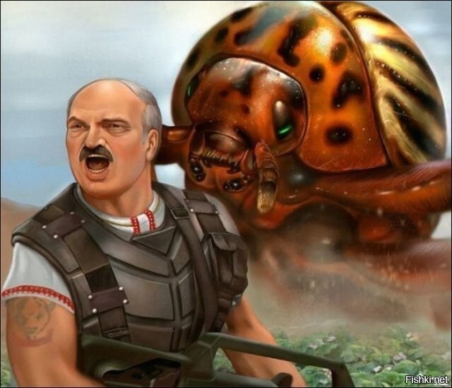 Солянка