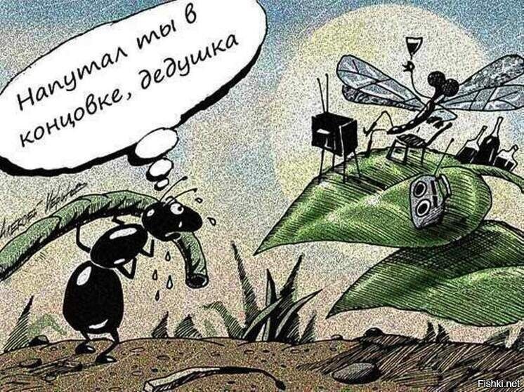 Солянка