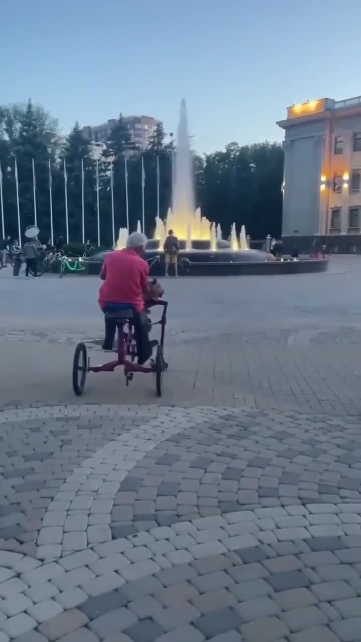 Педальный конь, он существует