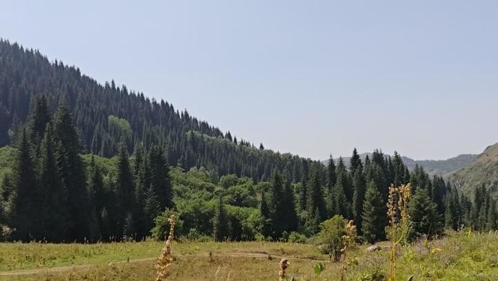 В сторону Кок-Жайляу сегодня гуляли