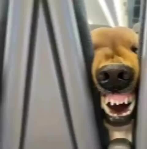 Попутчик