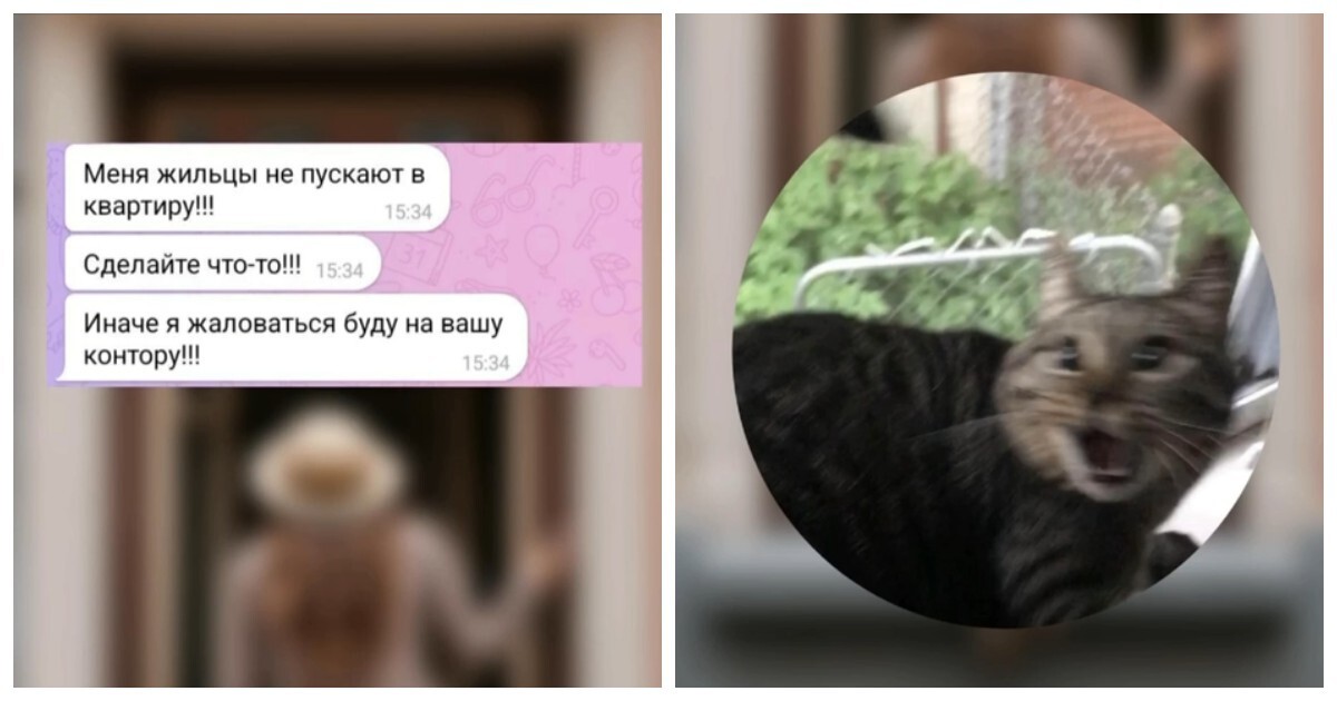 Ну это же была моя квартира!