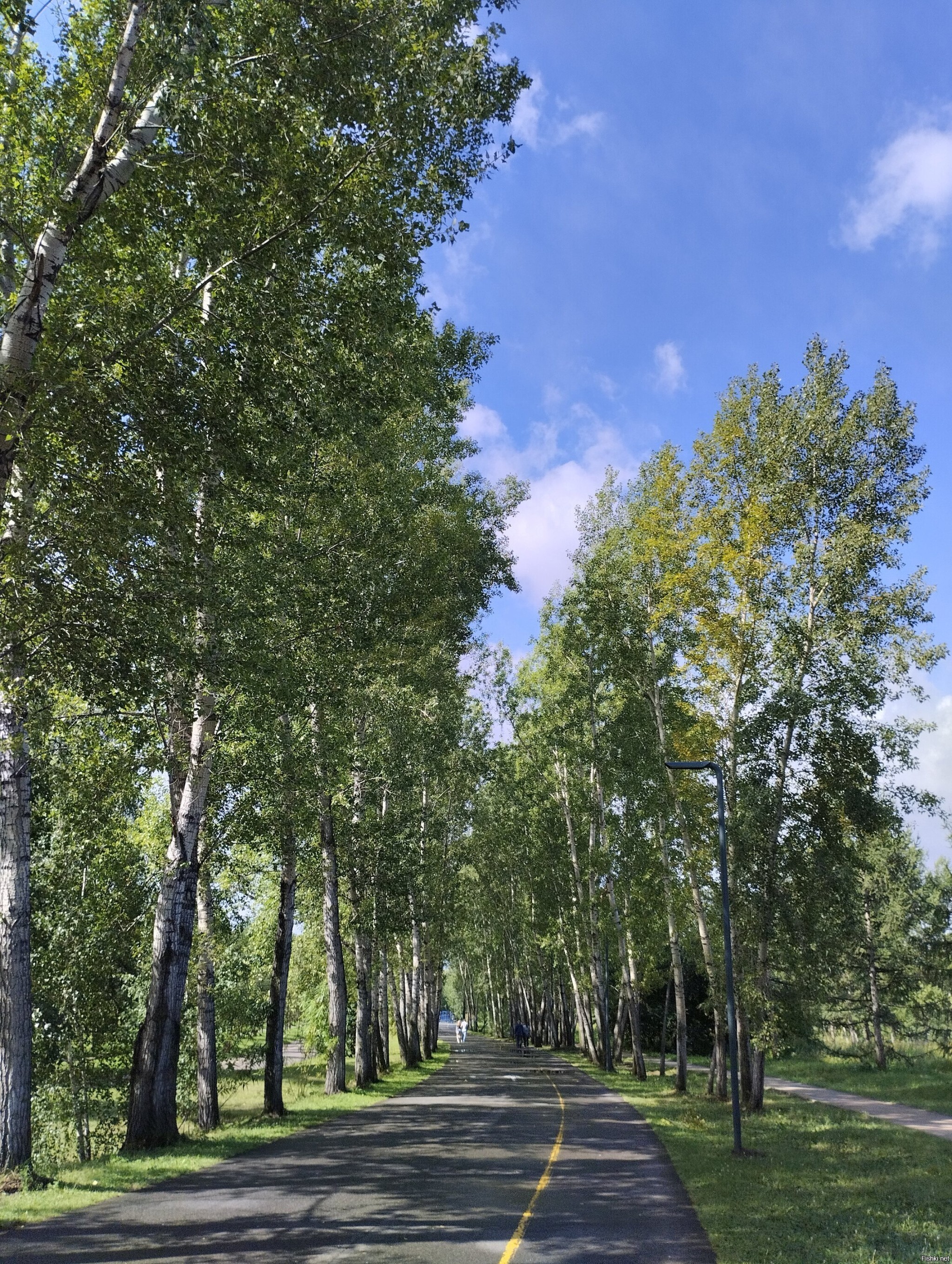 Красноярск, утро