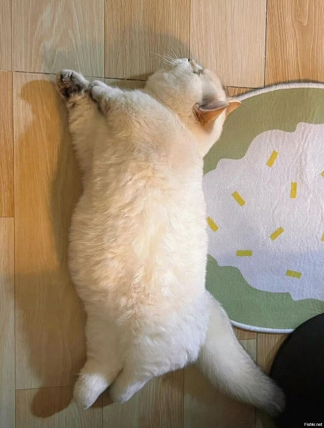 Солянка