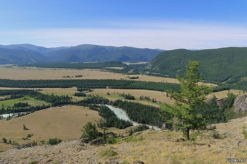Степь Самаха, Алтай