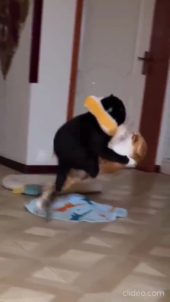Озвучка 