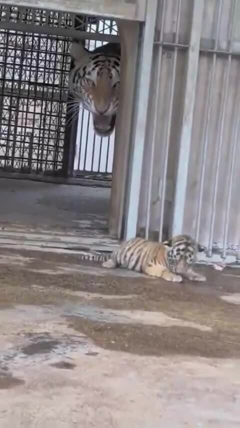 Когда думаешь, что уже большой