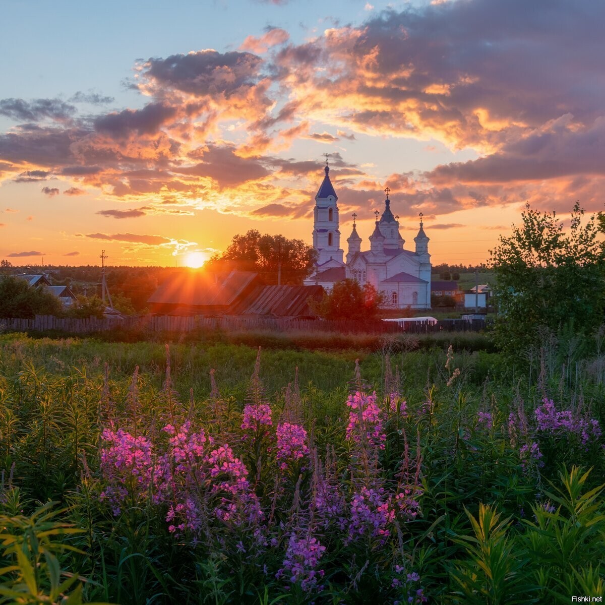 Солянка