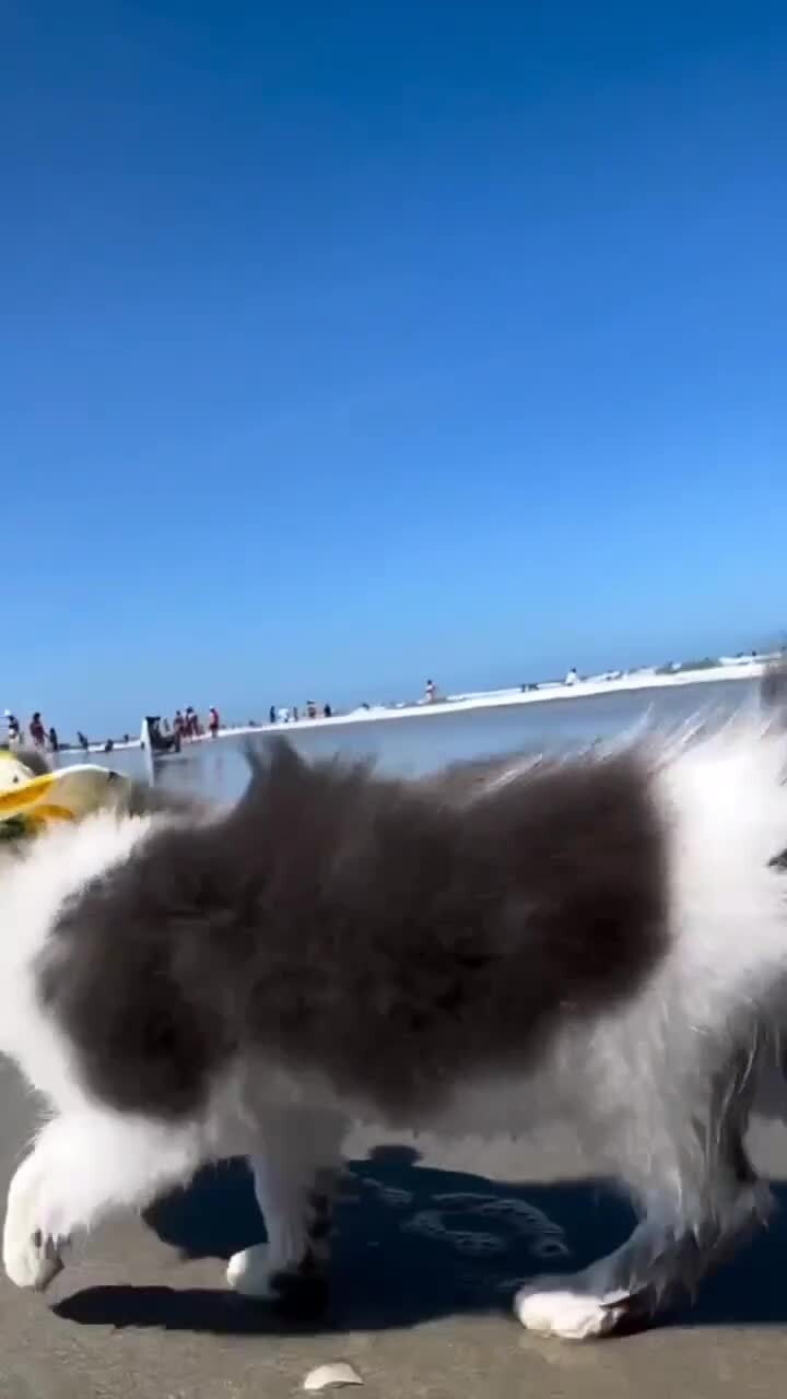 Отдыхаем на море