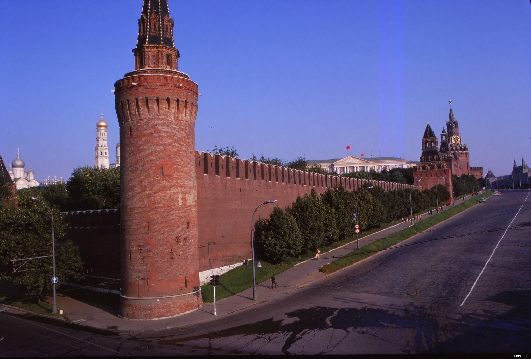 Солянка