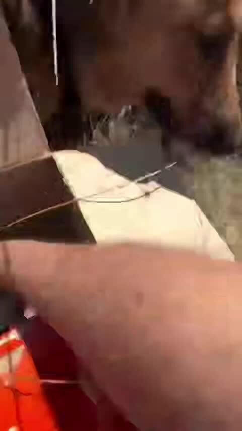 Человек с большой буквы