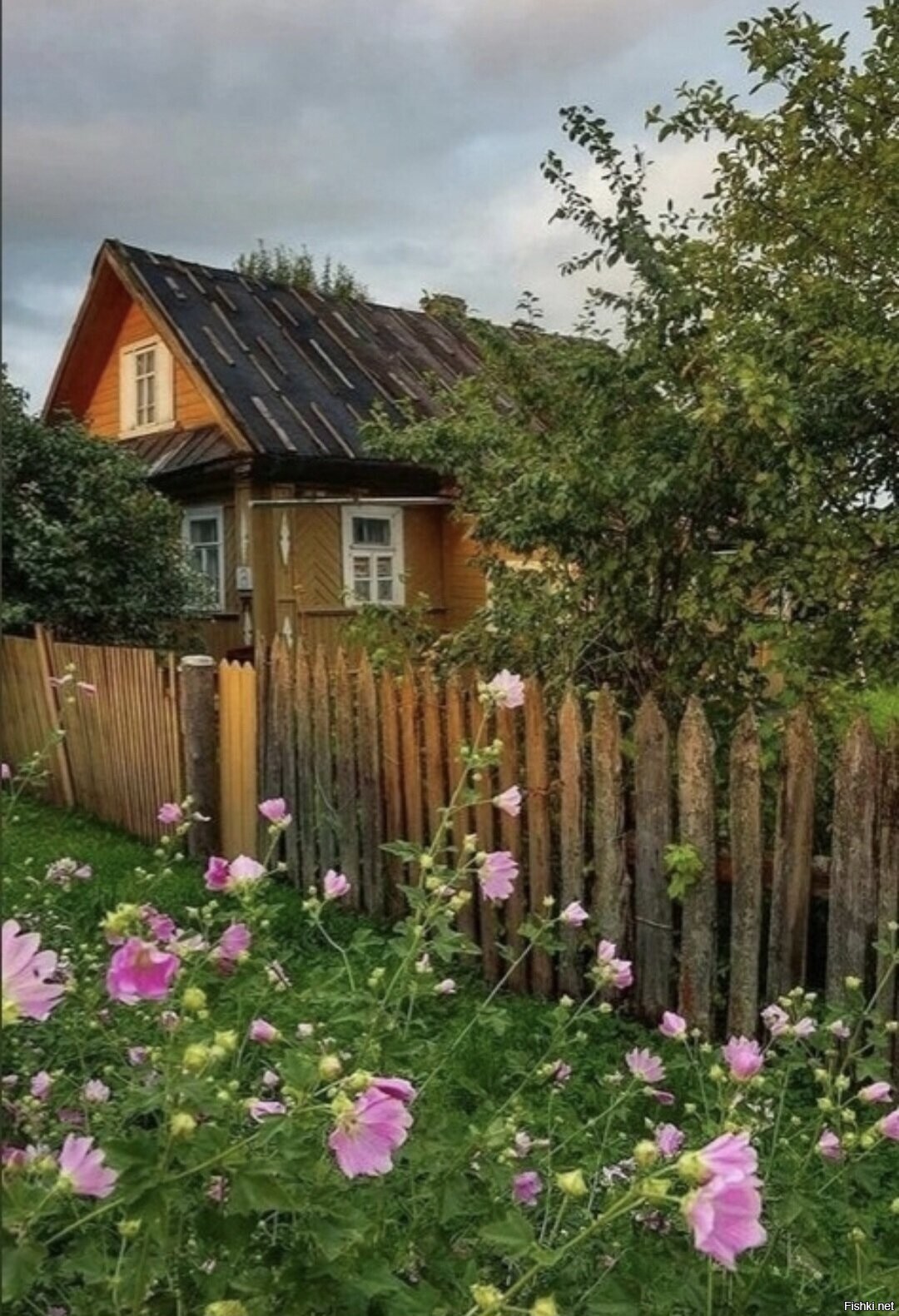 Солянка