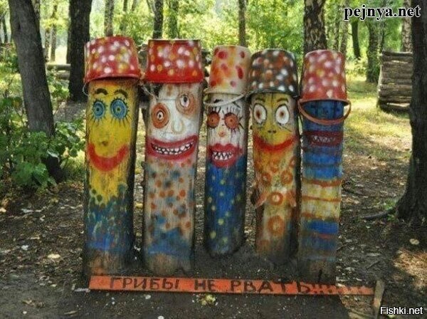 Солянка