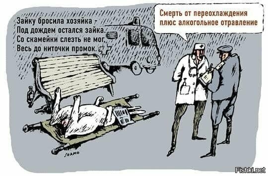 Солянка