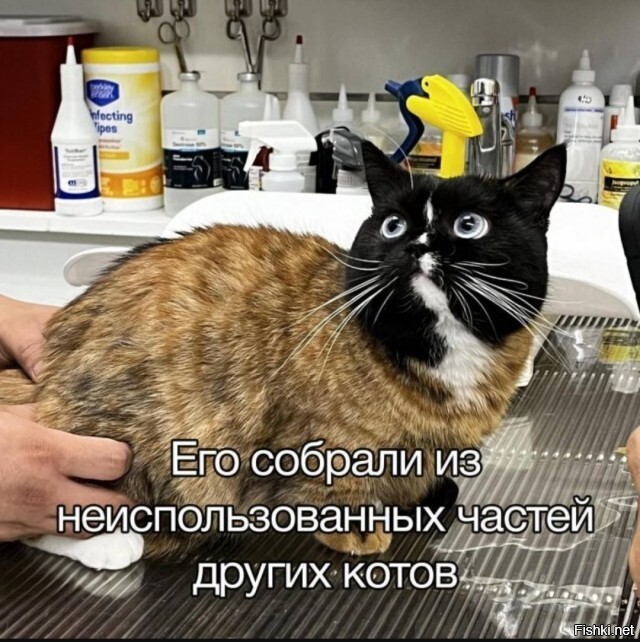 Солянка