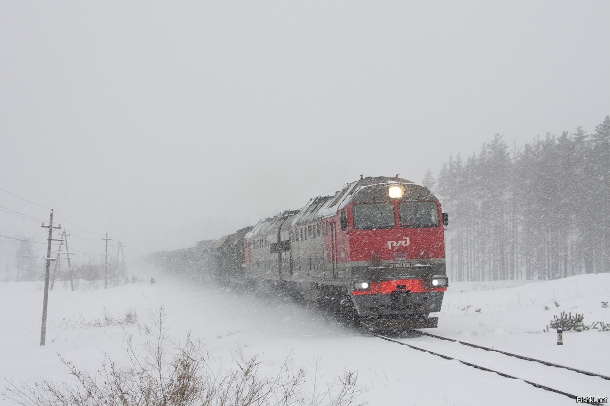 Солянка