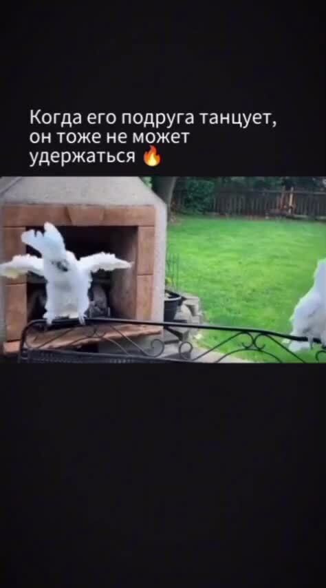 Отжёг по полной )))