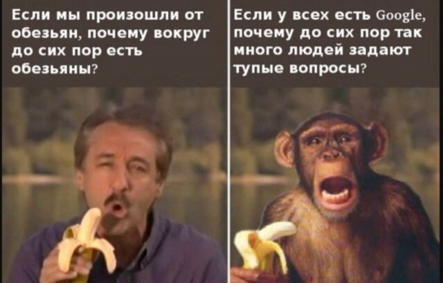 Не ищите здесь смысл. Здесь в основном маразм