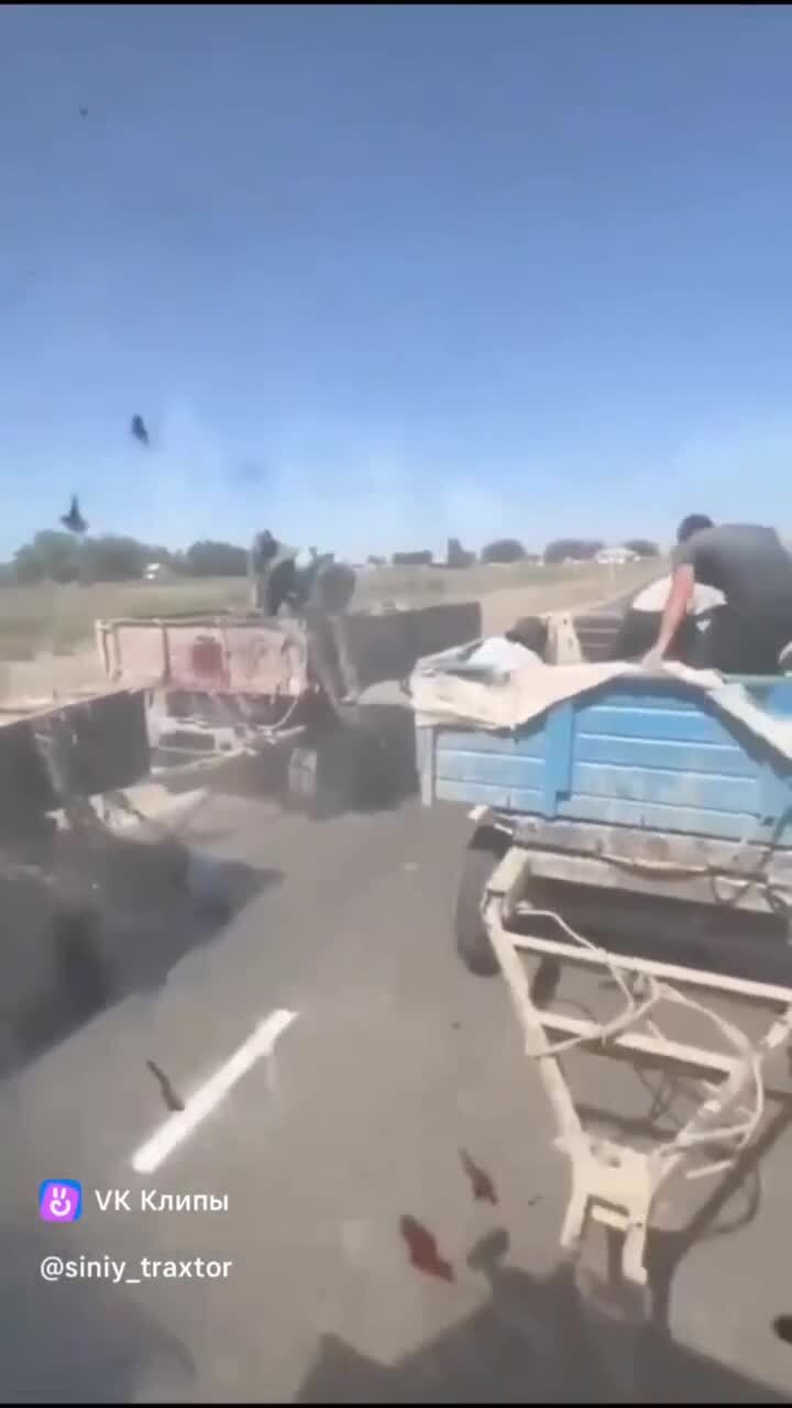 Безумный Абдурахман