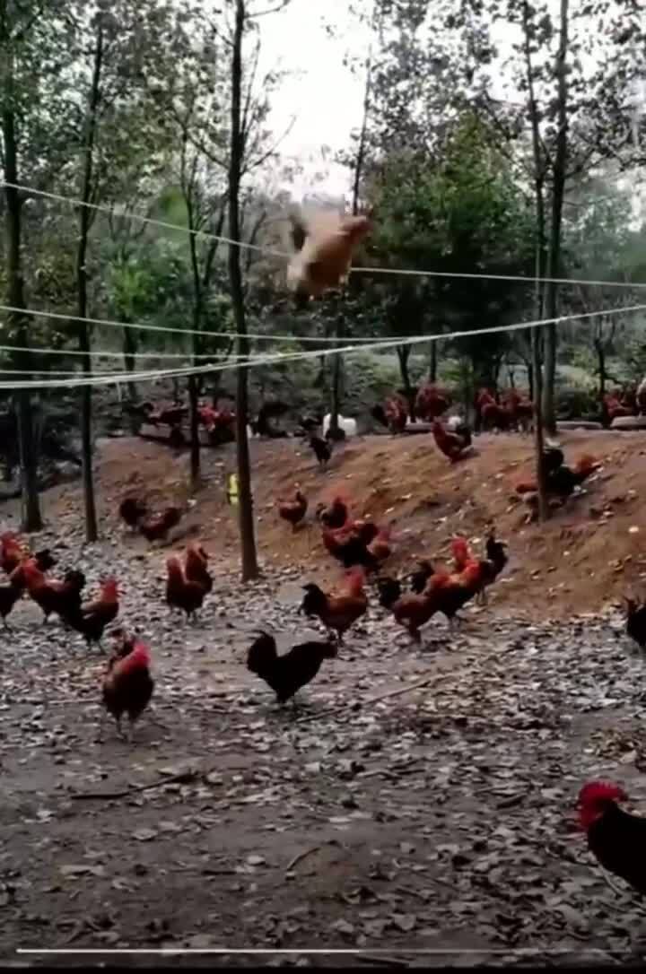 Ждали её