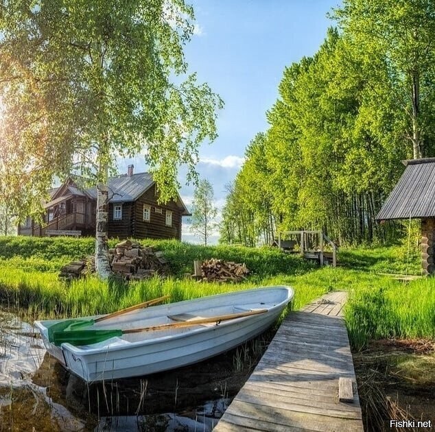 Солянка