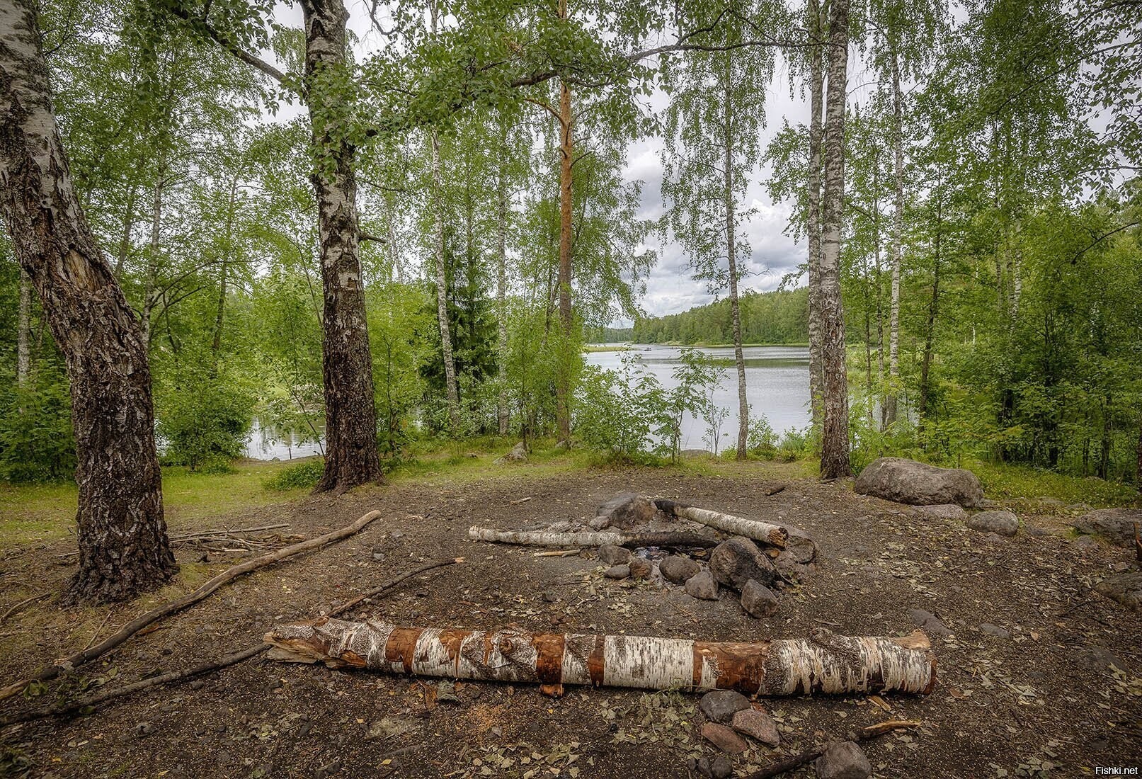 Солянка