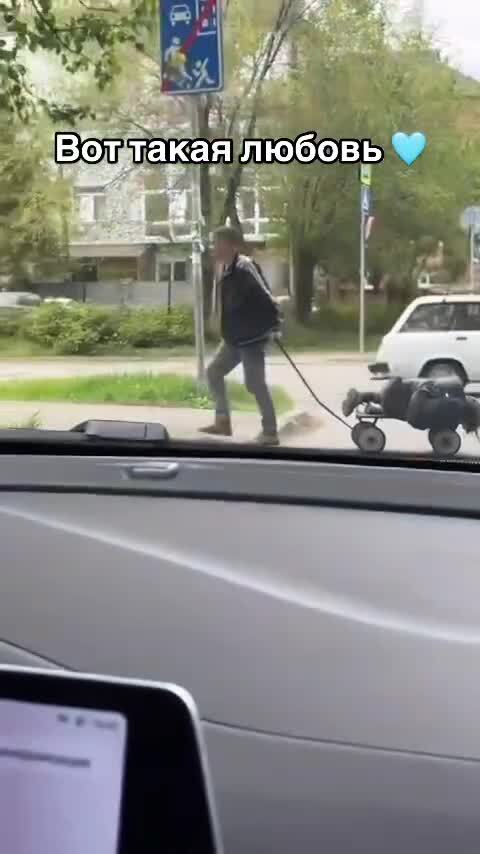 Вот это любовь