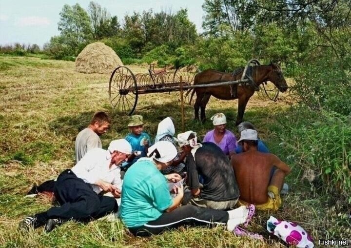 Обед в поле