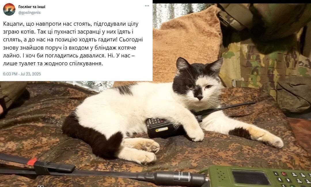 Новости нашего мира