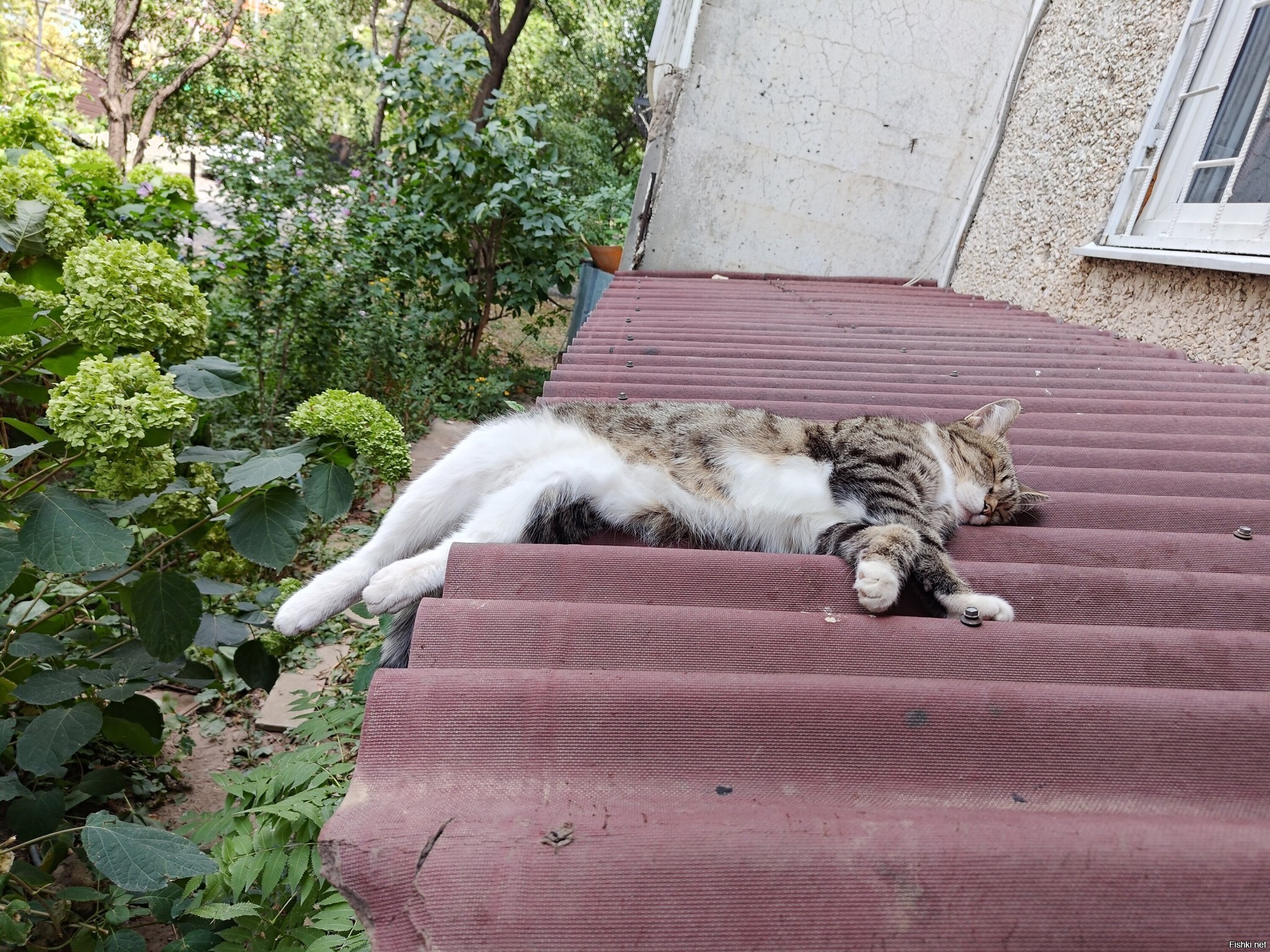 Около подъезда прямо сейчас(