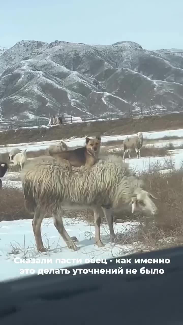 Не нужно лезть в его дела