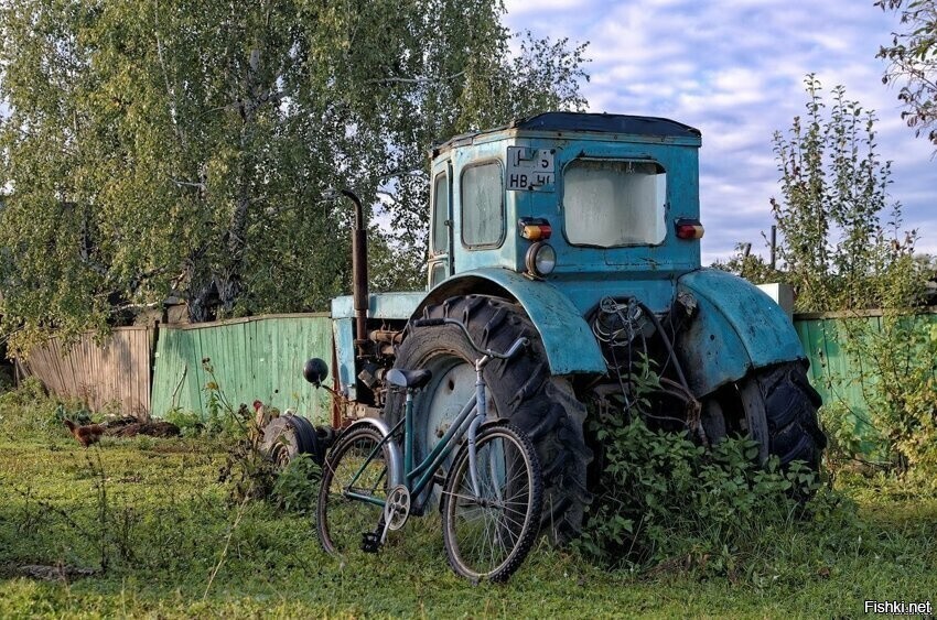 Солянка